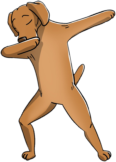 Vizsla DAB