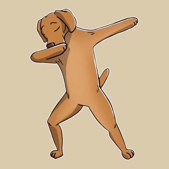 Vizsla DAB